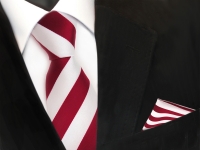 Schicke Designer TigerTie Krawatte + Einstecktuch rot signalrot weiss gestreift